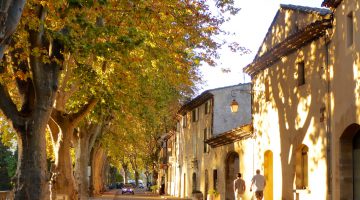 Autumn leaves in Lourmarin, Provence, France