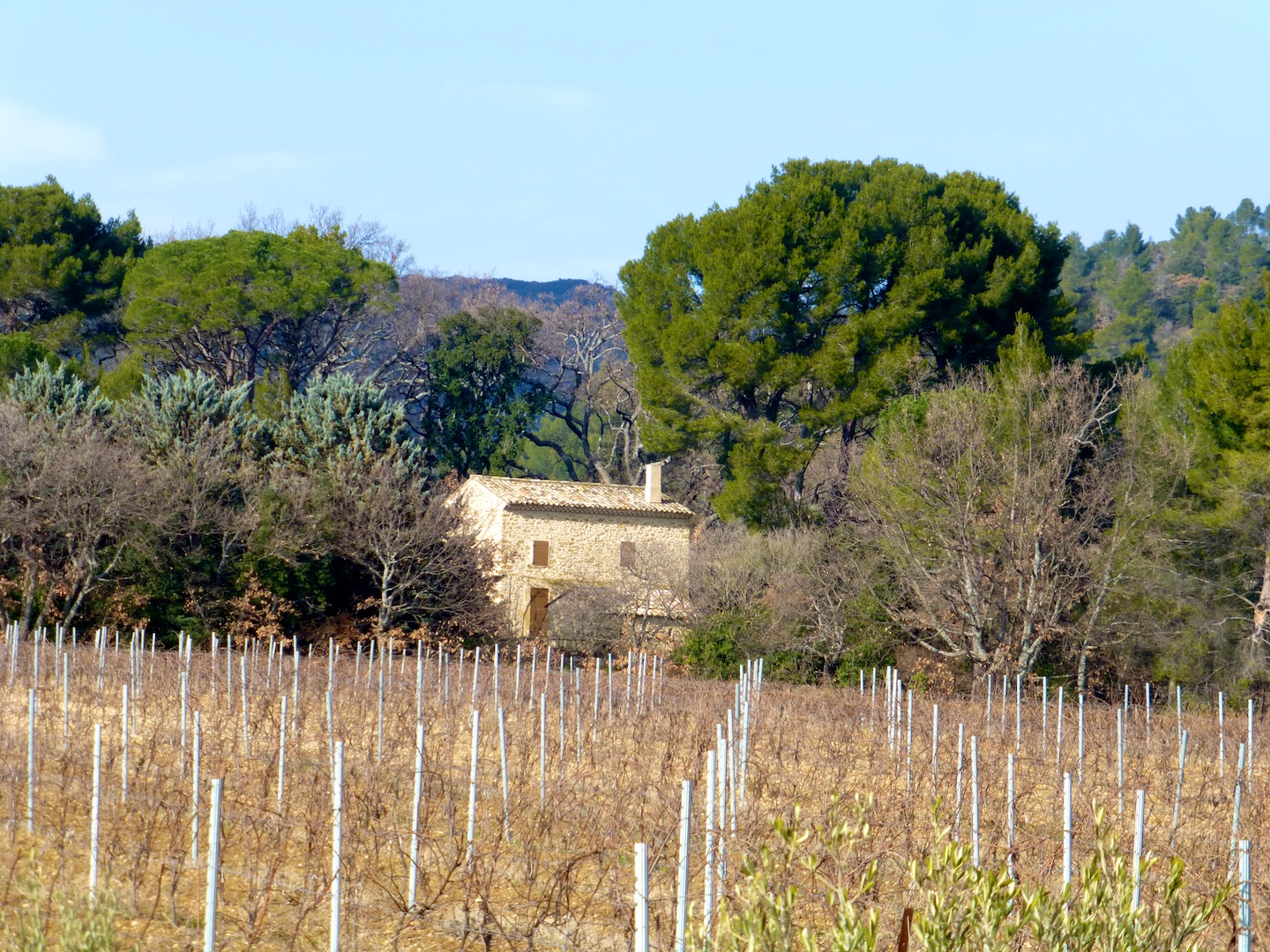 Provence in winter