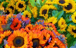 Ferry Building Farmer's market, sunflowers