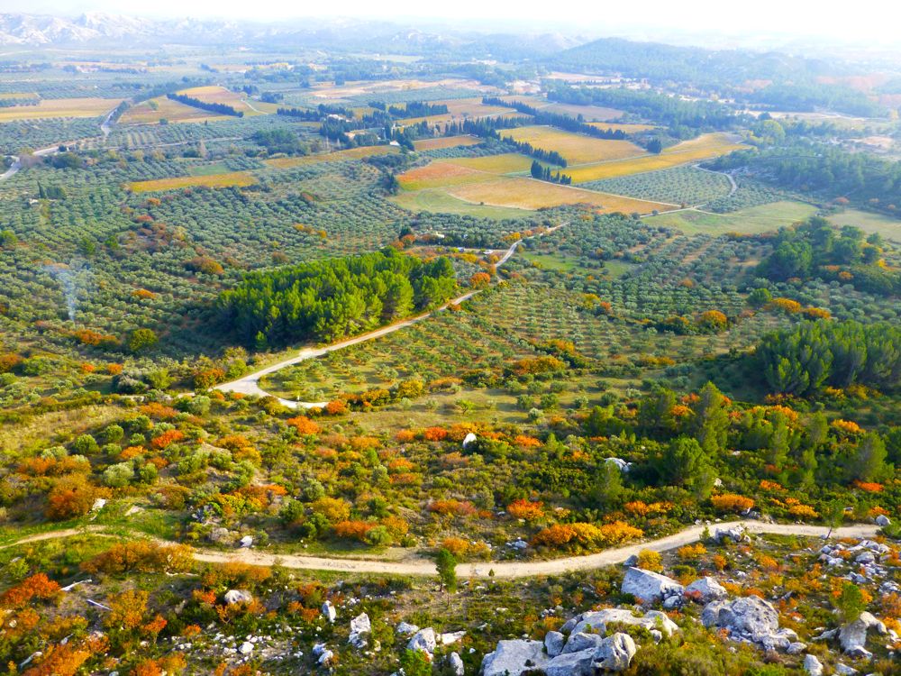 The Valley below Le Baux de Provence, famous for its wine and olives