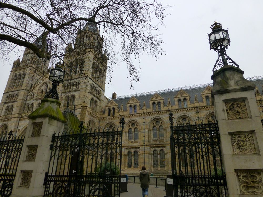 The Natural History Museum, London, December 2012