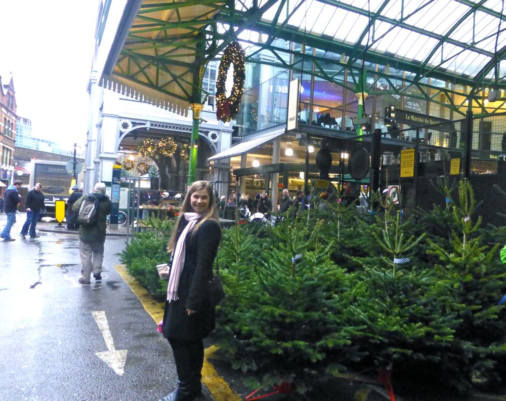 Christmas trees at London's Borough Market,Christmas 2012