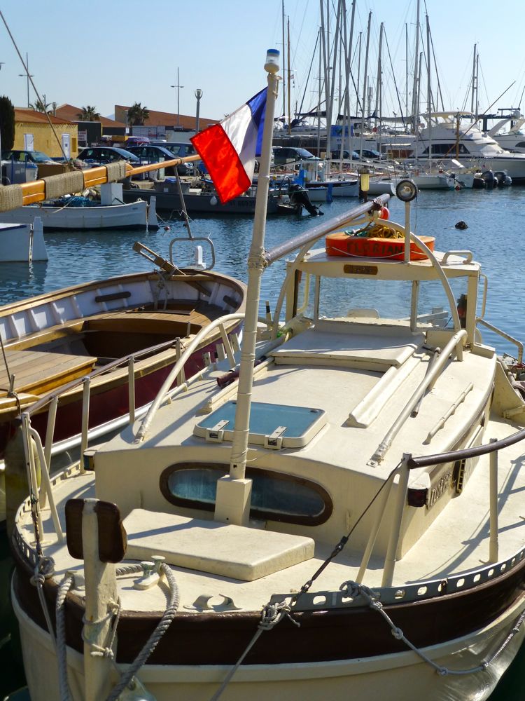 The vineyards of Bandol, Provence, France