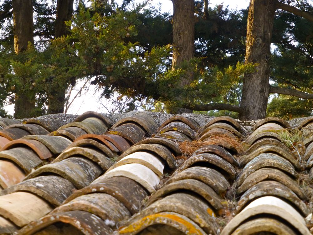 Clay tile roof in Provence