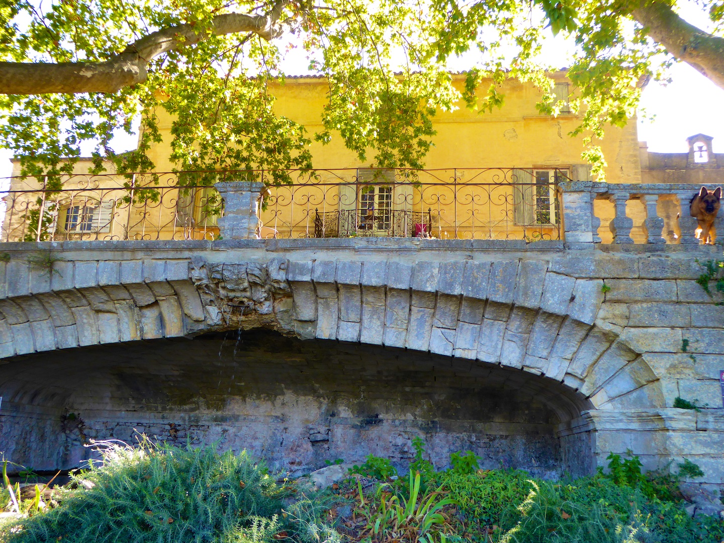 Chateau Canorgue, Bonnieux, Luberon. France