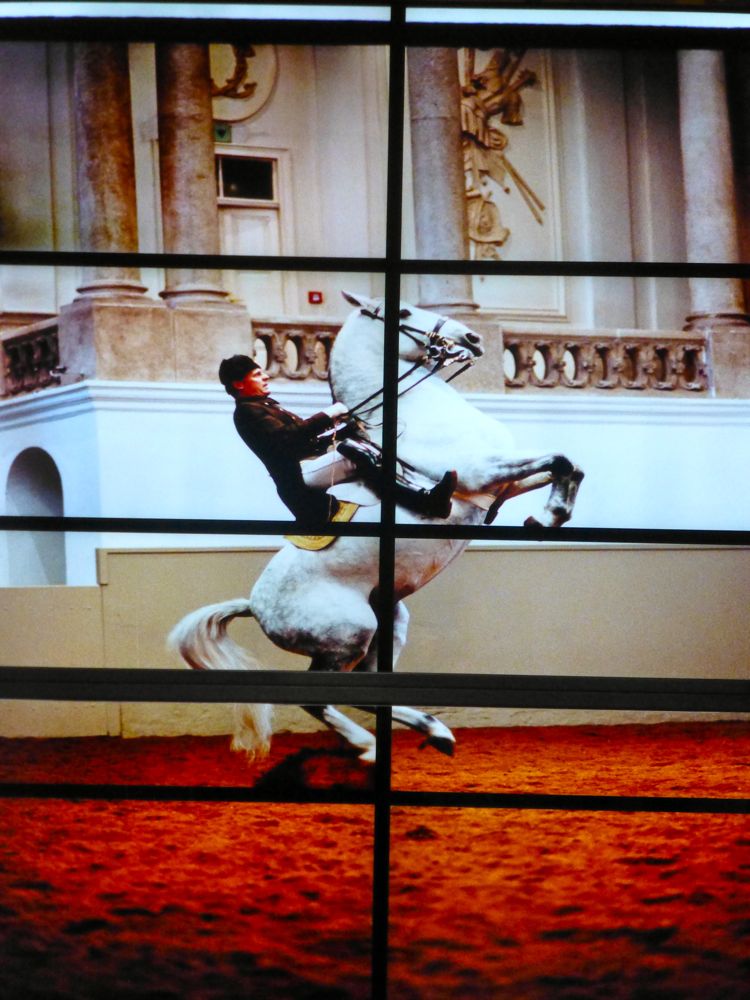 Performance at Spanish Riding School, Vienna, Austria