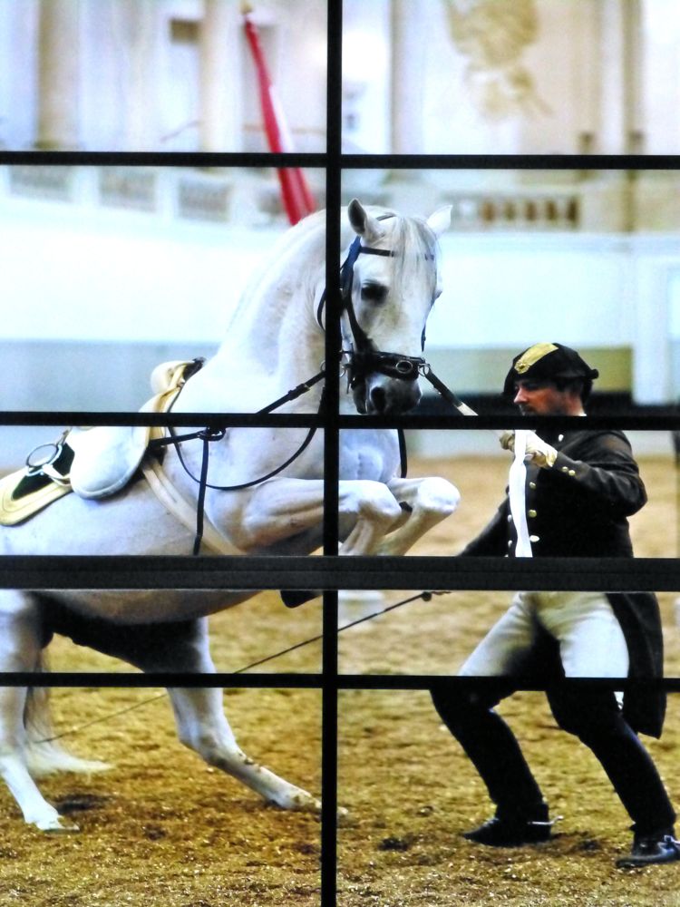 Performing at Spanish Riding School,Vienna, Austria