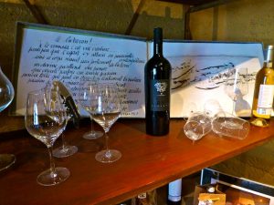 Luberon Wine tour at Domaine de Marie