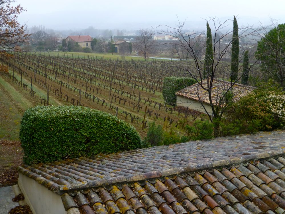 Vineyards of Domaine de la Citadelle, Menerbes, Luberon, Provence, France