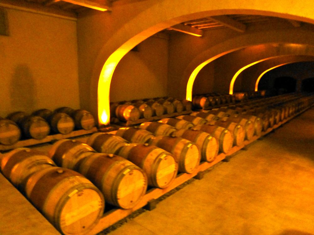 Wine storage in old oak barrels at Domaine de la Citadelle