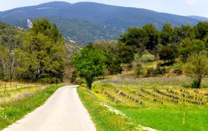 Lanes of Lourmarin, Luberon. Provence, France