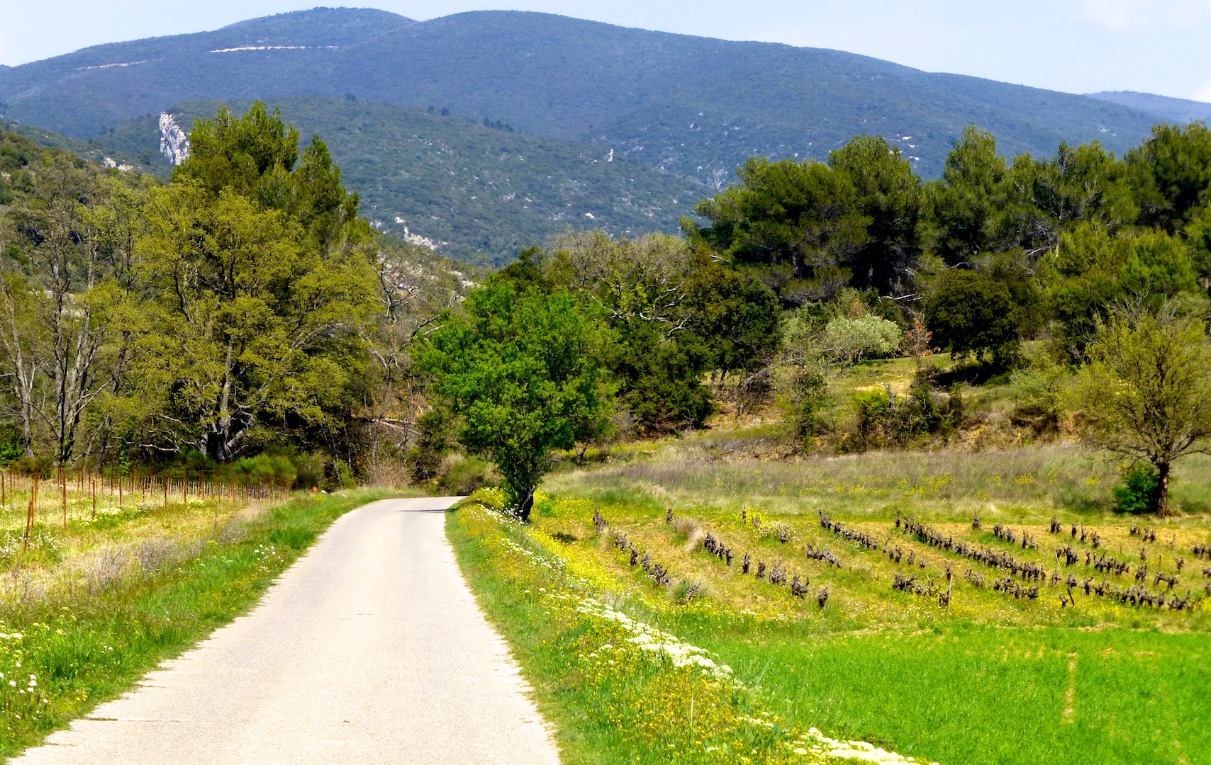 Lanes of Lourmarin, Luberon. Provence, France