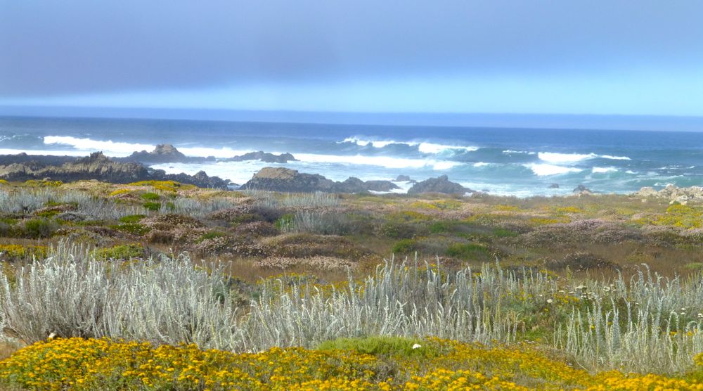 17 Mile Drive near Carmel California