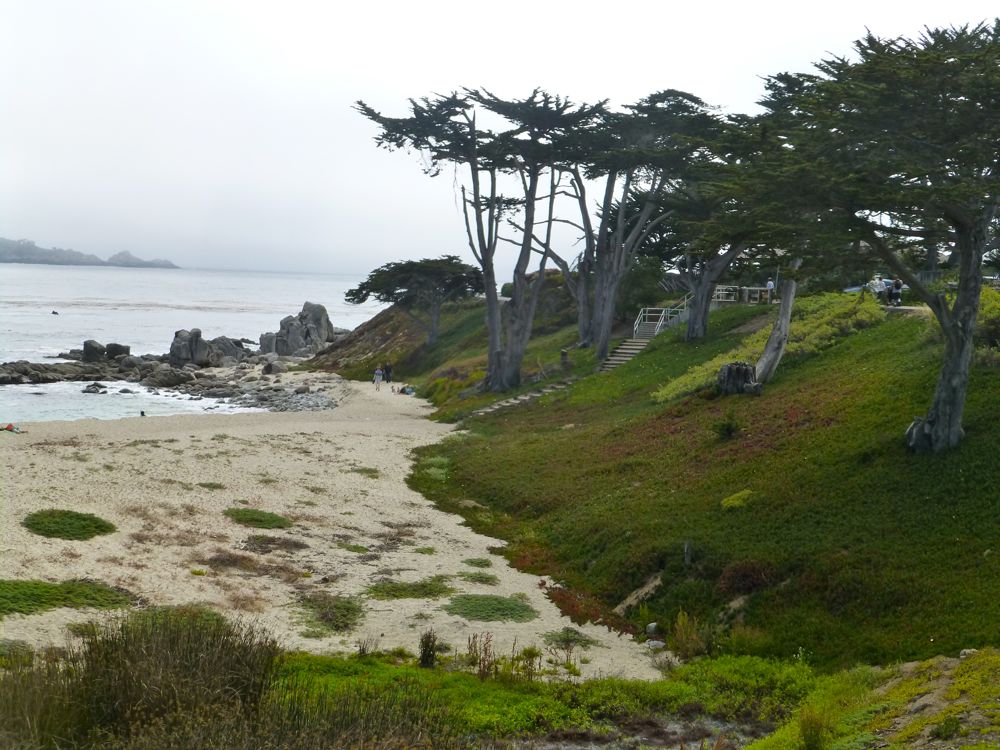 Fog at River Beach, Carmel, California