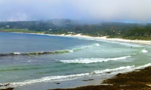 Fog hanging over Carmel beach, California, USA