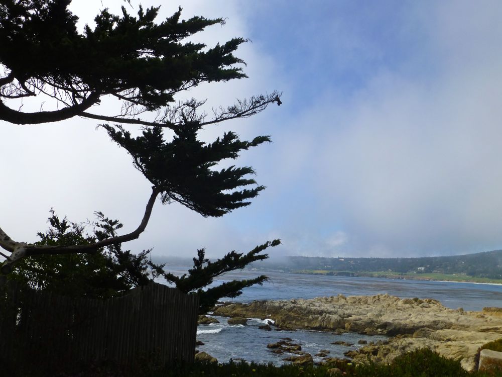 Fog rolling into Carmel Beach, Carmel, California