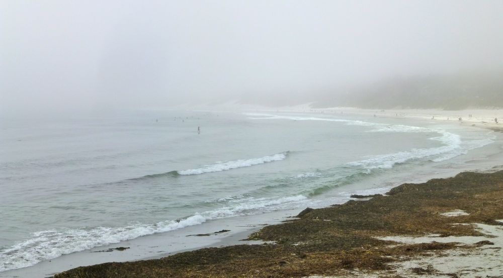 Fog settled on Carmel Beach