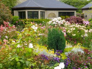 Garden in Carmel-by-the Sea, California