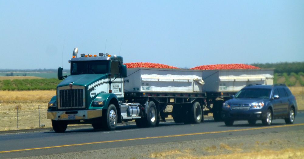 Full tomato truck on California's interstate '5'', heading north to processing plant