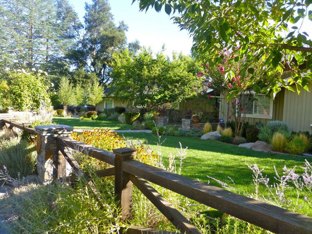Danville front garden on a morning walk, Danville CA USA
