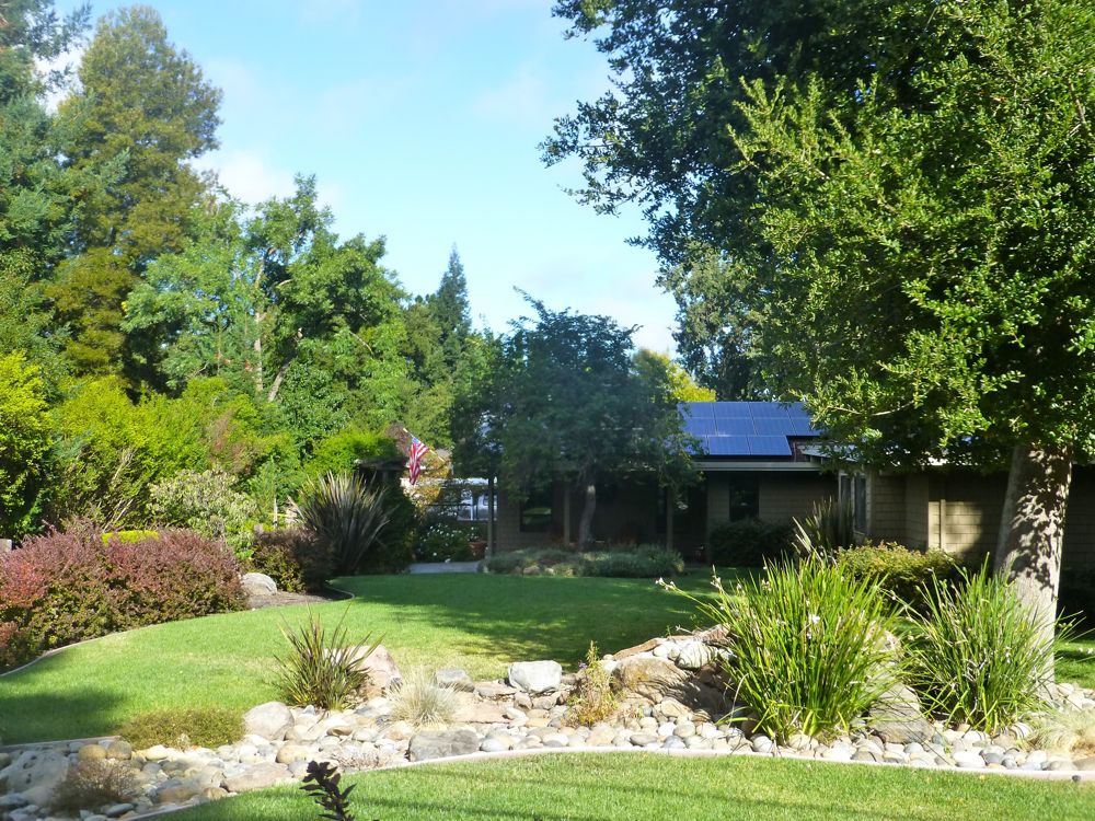 Front garden in Danville on a morning walk in Danville CA USA
