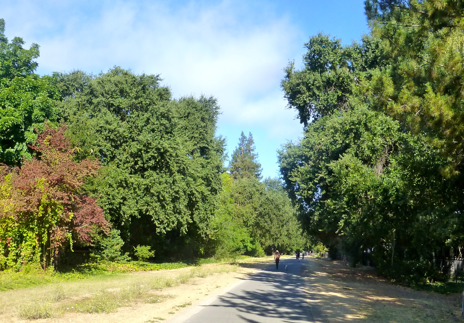 The Danville Iron Horse Trail, Danville, California, USA