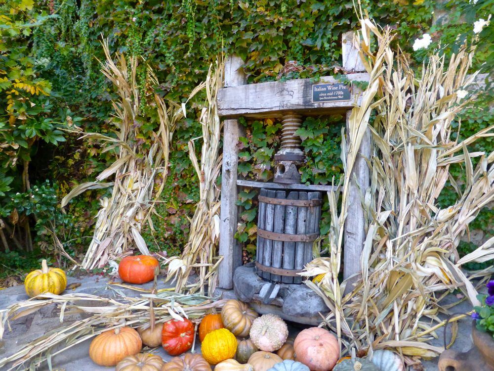 Pumpkins by a Californian Napa Valley wine press