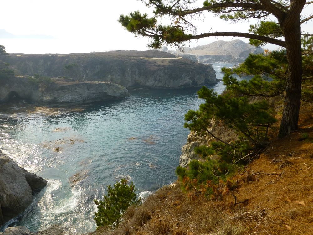 Beach Point Lobos Carmel. California, USA