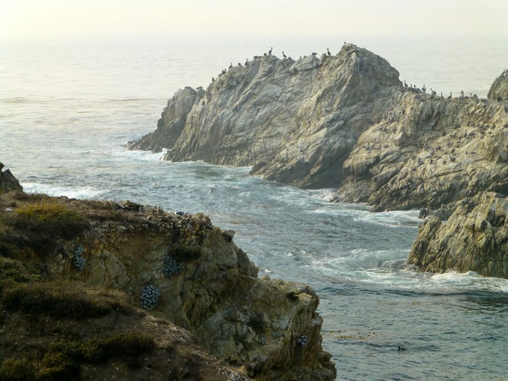 The Bird Island Point Lobos Carmel. California, USA