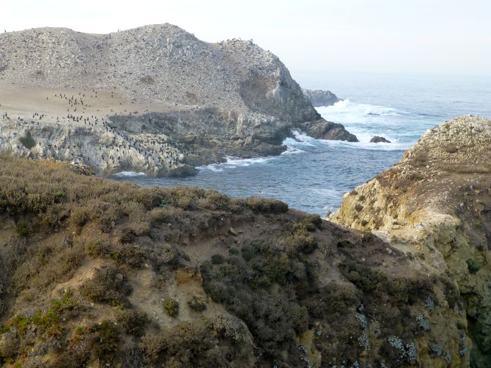 Bird Island Point Lobos Carmel. California, USA