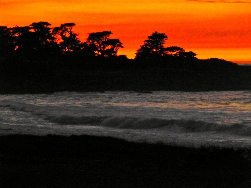 Cypress Point, 17 mile Drive at sunset, Carmel, California, USA