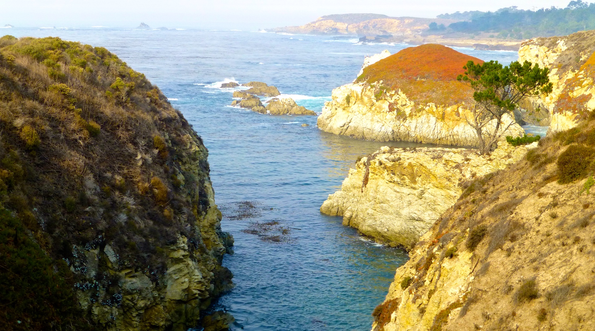 Inlet at Point Lobos, Carmel, California, USA