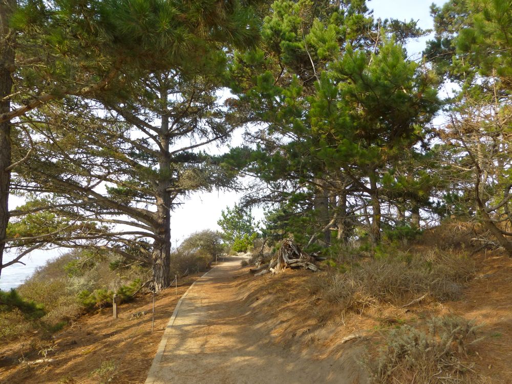 Pathway at south Point Lobos, Carmel, California, USA