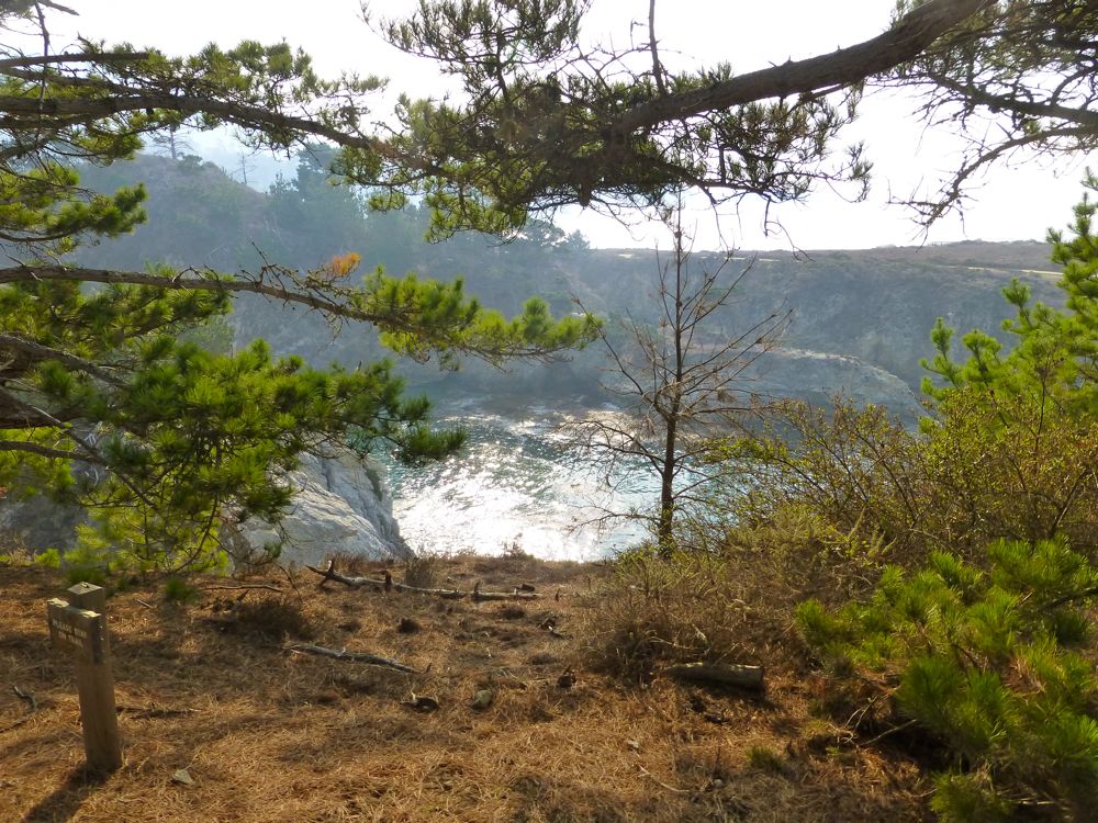 Point Lobos Carmel, California, USA