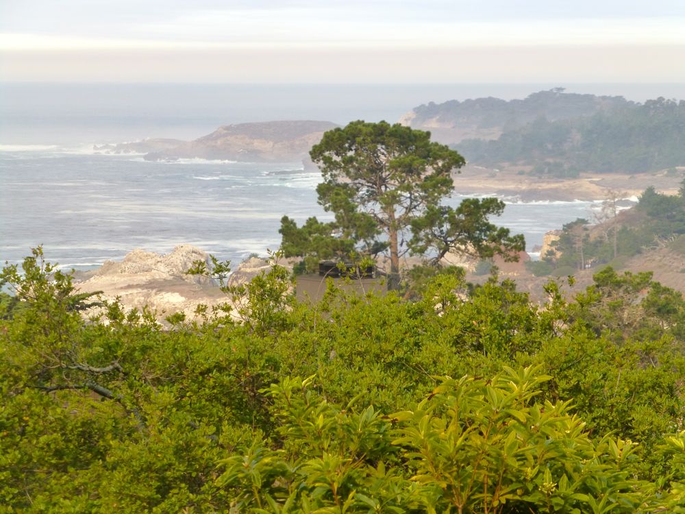 The Carmel Highlands Inn View