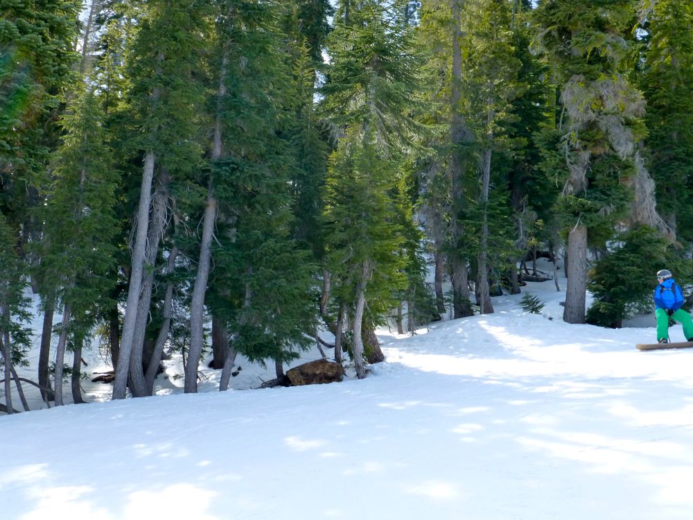 Snowboarding in the trees, Alpine Meadows, Lake Tahoe, California