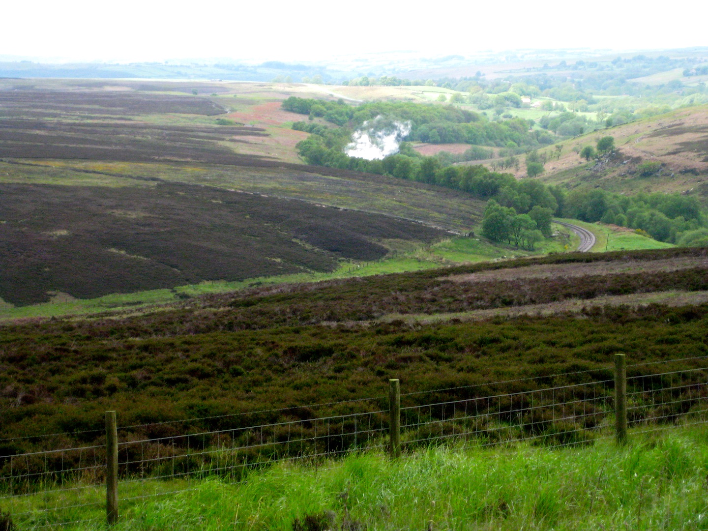 North Yorkshire Moors, England