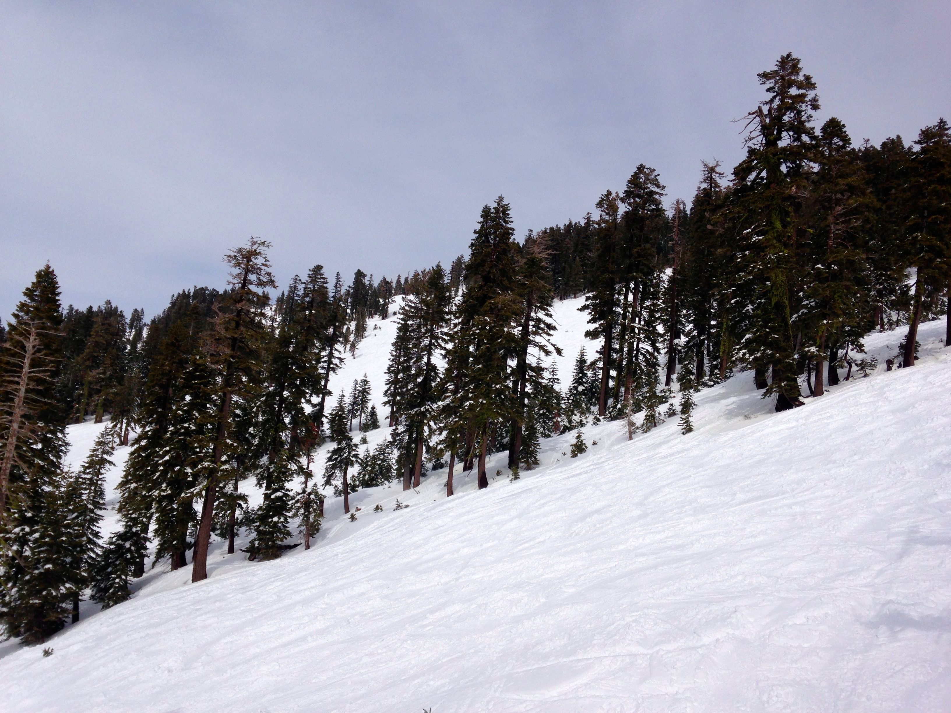 Slopes at Alpine Meadows, Lake Tahoe CA