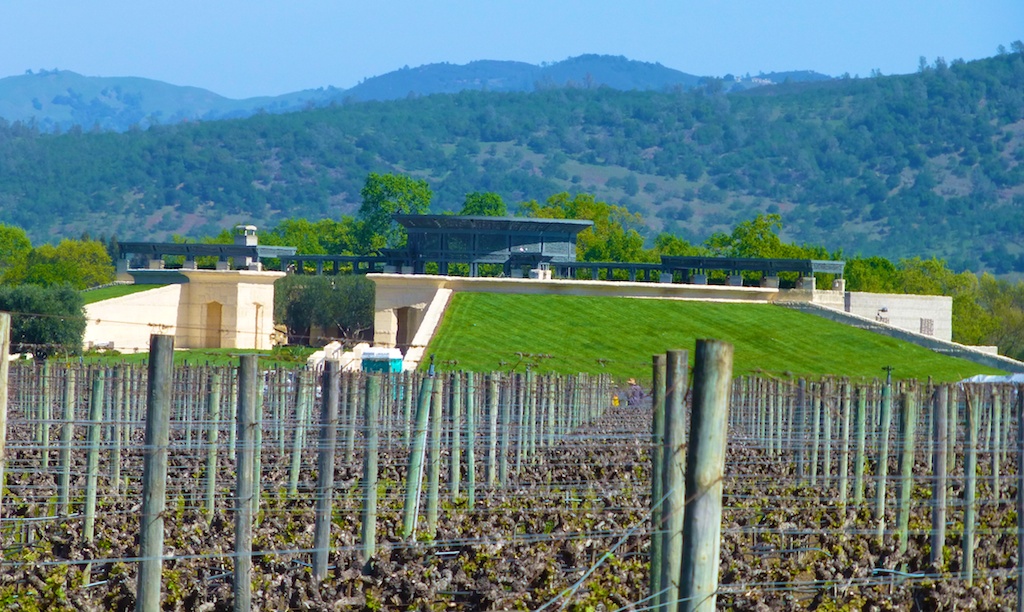 Opus One vines, Napa Valley, California