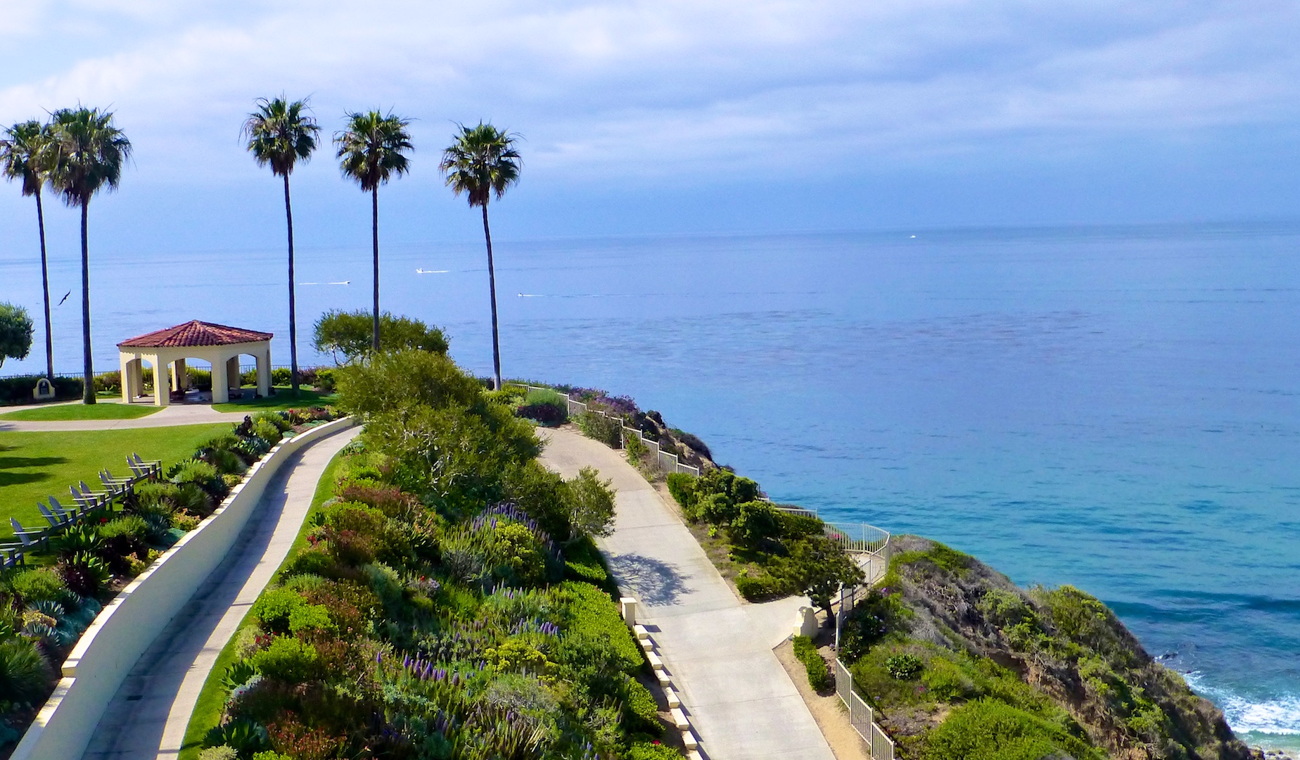 Palm Trees at The Ritz Carlton, Dana Point, California, USA