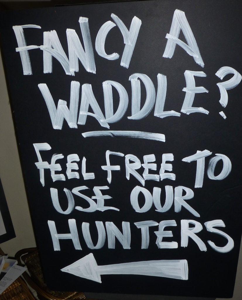 Fancy a waddle 'Hunters', to borrow at Fuzzy Duck,The Cotswolds, Gloucestershire, England