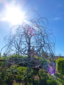 A wire tree at Cornerstone Sonoma, California, USA