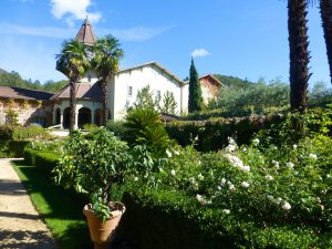 Chateau St Jean, Sonoma Valley, California, USA