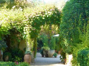 Gardens at Chateau St Jean, Sonoma Valley, California, USA