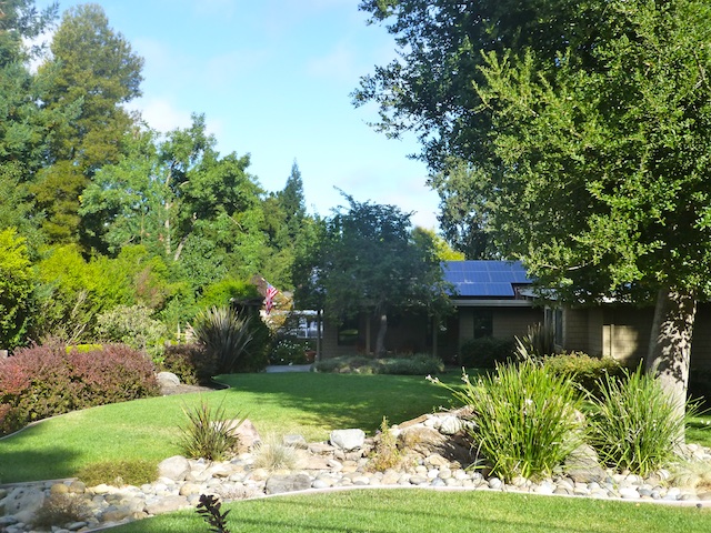 Well tended front gardens in Danville, CA