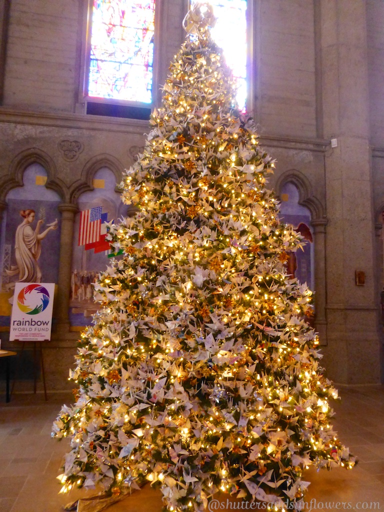 Christmas tree in Grace Cathedra
