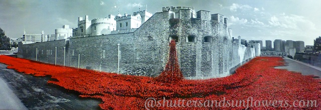 The Tower of London Poppies London to mark the centenary of WWI