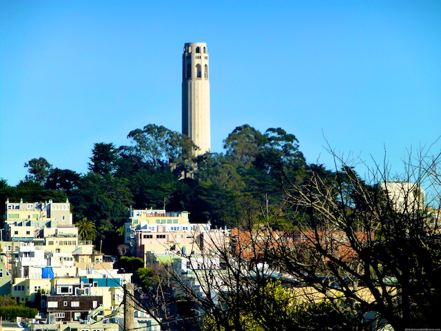 Coit Tower from North Beach San Francisco