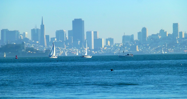View of San Francisco from Tiburon