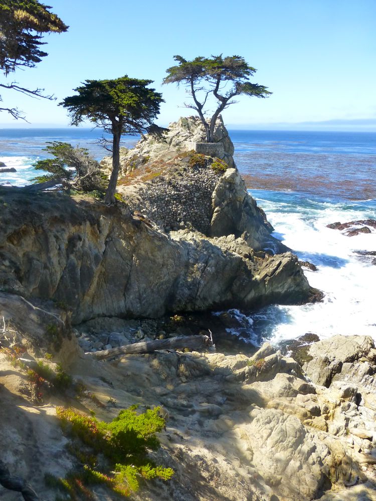 The Lone Cypress, 17 Mile Drive, Carmel, California